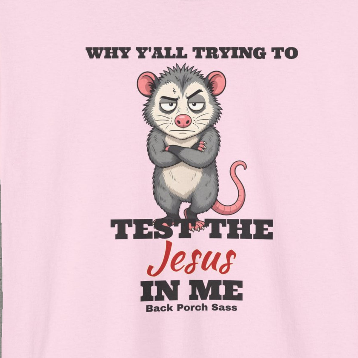 Why Y'all Trying to Test the Jesus in Me Possum Tee – Back Porch Sass – Light Pink – front print close-up