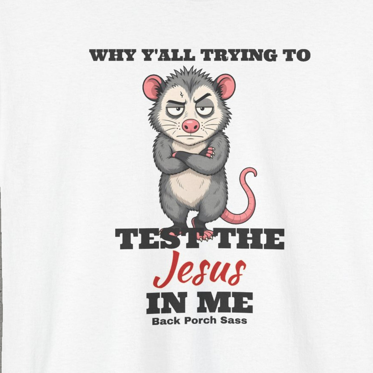Why Y'all Trying to Test the Jesus in Me Possum Tee – Back Porch Sass – White – front print close-up