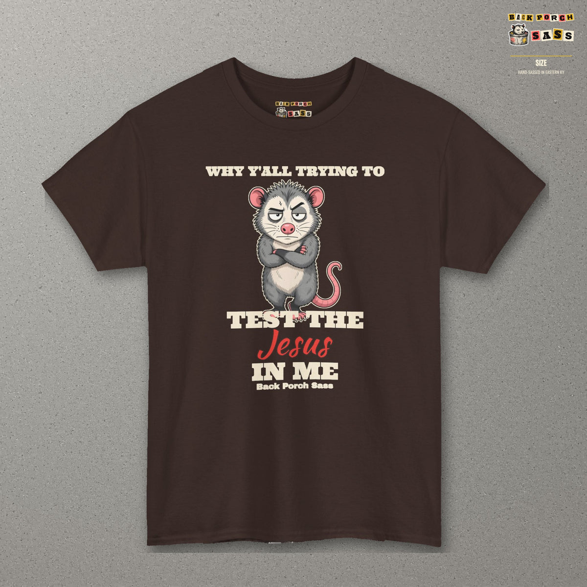Why Y'all Trying to Test the Jesus in Me Possum Tee – Back Porch Sass – Dark Chocolate – front