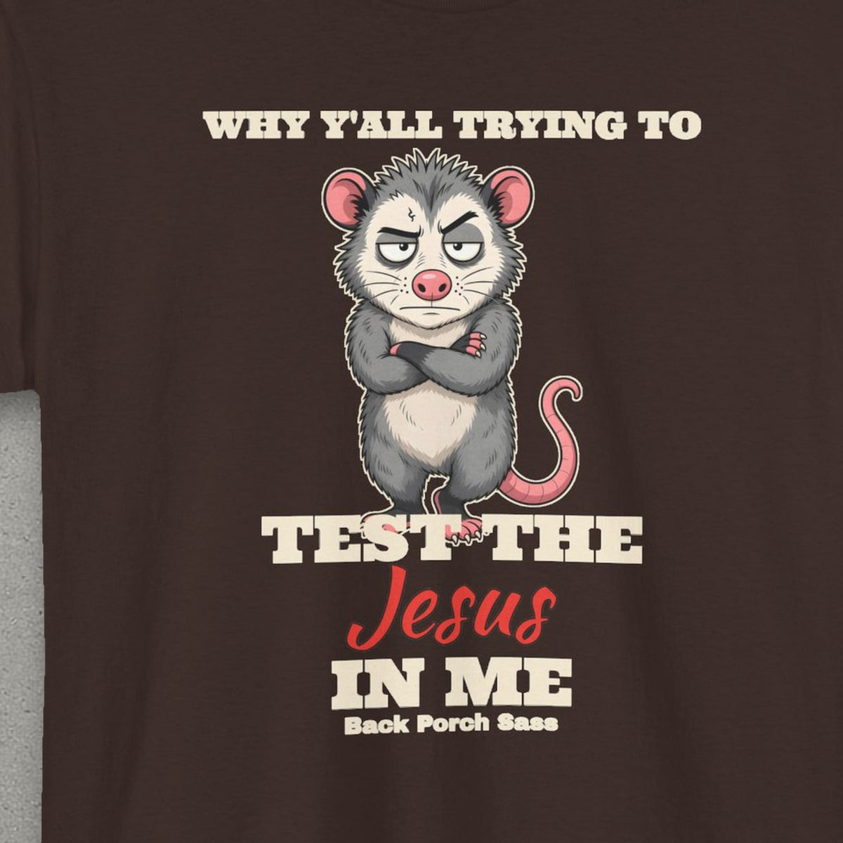 Why Y'all Trying to Test the Jesus in Me Possum Tee – Back Porch Sass – Dark Chocolate – front print close-up