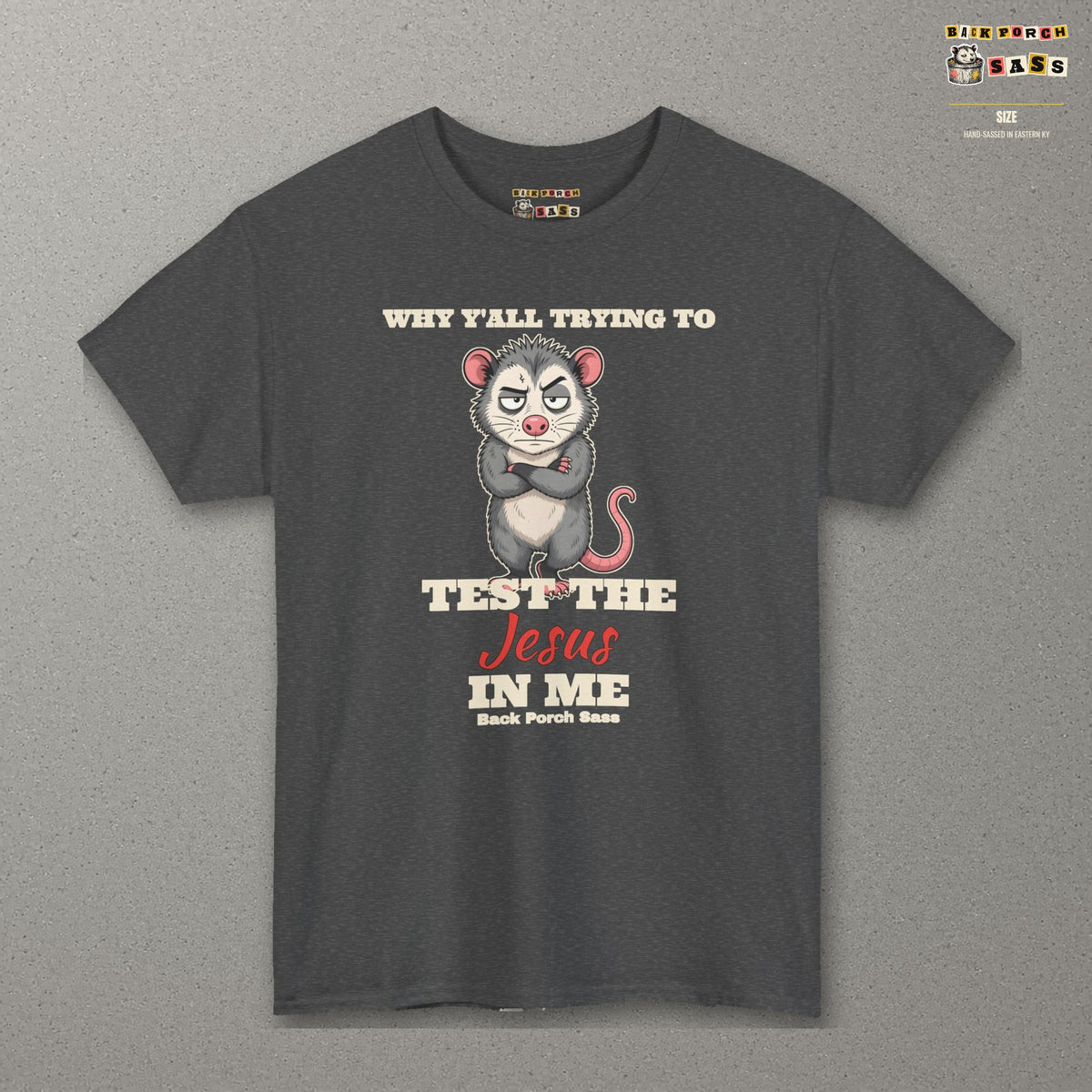 Why Y'all Trying to Test the Jesus in Me Possum Tee – Back Porch Sass – Dark Heather – front