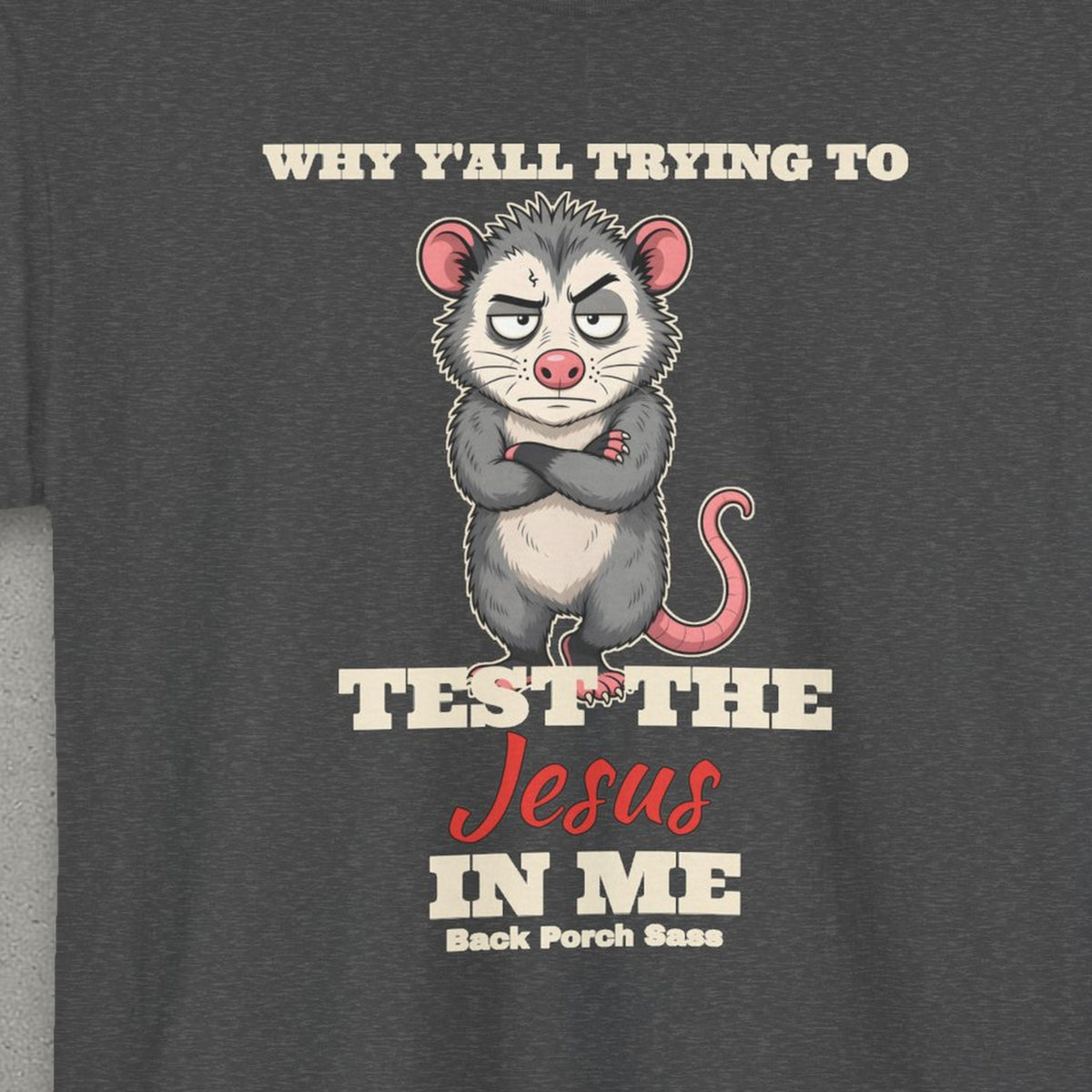 Why Y'all Trying to Test the Jesus in Me Possum Tee – Back Porch Sass – Dark Heather – front print close-up
