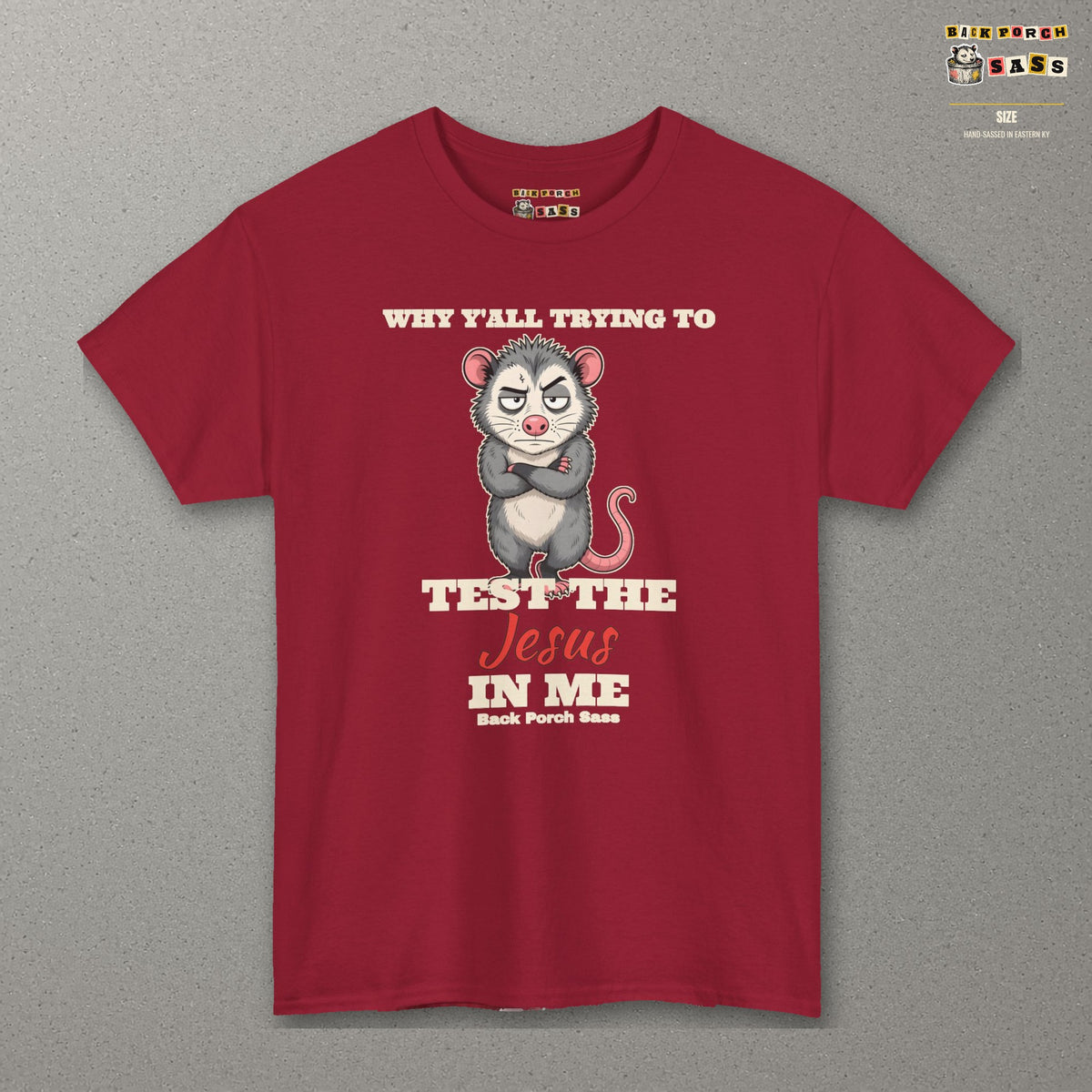 Why Y'all Trying to Test the Jesus in Me Possum Tee – Back Porch Sass – Cardinal Red – front
